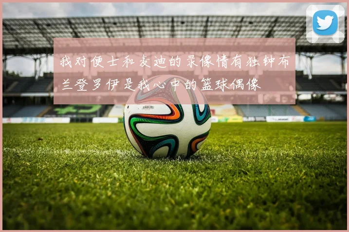 我对便士和麦迪的录像情有独钟布兰登罗伊是我心中的篮球偶像